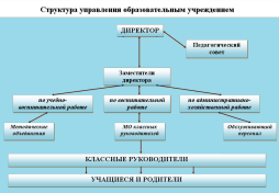 Структура управления образовательным учреждением